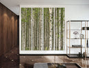 Screen Gems Prolific Forrest Screen Room Divider SG-125