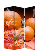 Screen Gems Harvest Screen Room Divider SG-131