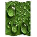 Screen Gems Rain Screen Room Divider SG-134
