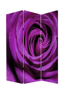 Screen Gems Flourish Screen Room Divider SG-139