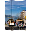 Screen Gems San Francisco Screen Room Divider SG-144