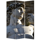 Screen Gems Rome Screen Room Divider SG-145