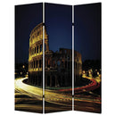 Screen Gems Rome Screen Room Divider SG-145
