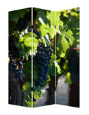 Screen Gems Wine Country Screen Room Divider SG-151