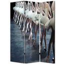 Screen Gems Ballet Screen Room Divider SG-152