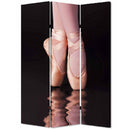 Screen Gems Ballet Screen Room Divider SG-152