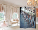 Screen Gems Ballet Screen Room Divider SG-152