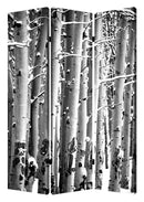 Screen Gems Birch Screen Room Divider SG-165