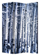 Screen Gems Birch Screen Room Divider SG-165