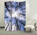 Screen Gems Forest Screen Room Divider SG-166