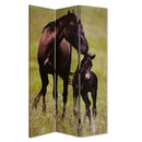 Screen Gems Thouroghbred Screen Room Divider SG-21K