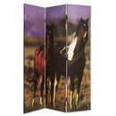 Screen Gems Thouroghbred Screen Room Divider SG-21K