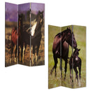 Screen Gems Thouroghbred Screen Room Divider SG-21K