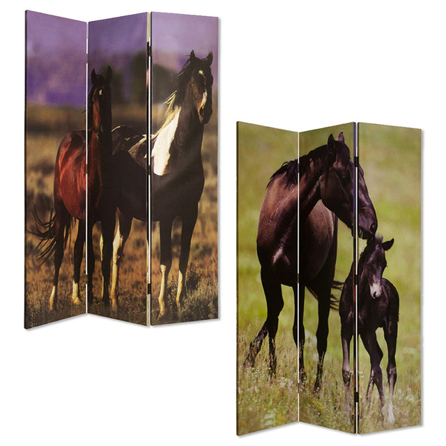 Screen Gems Thouroghbred Screen Room Divider SG-21K