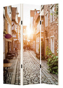 Screen Gems European Promenade Screen Room Divider SG-245